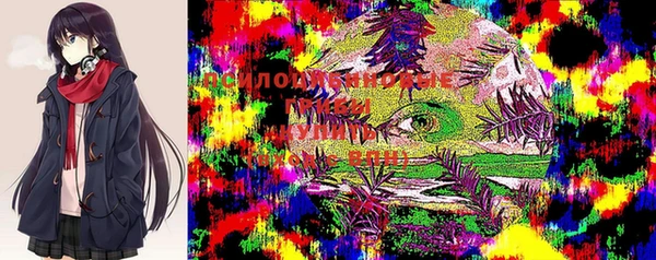 меф Приозерск